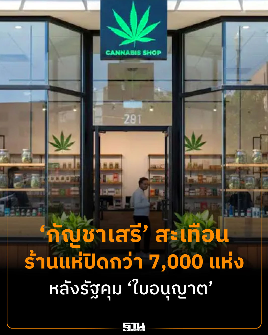 大麻新规落地!多家店铺将无法续证